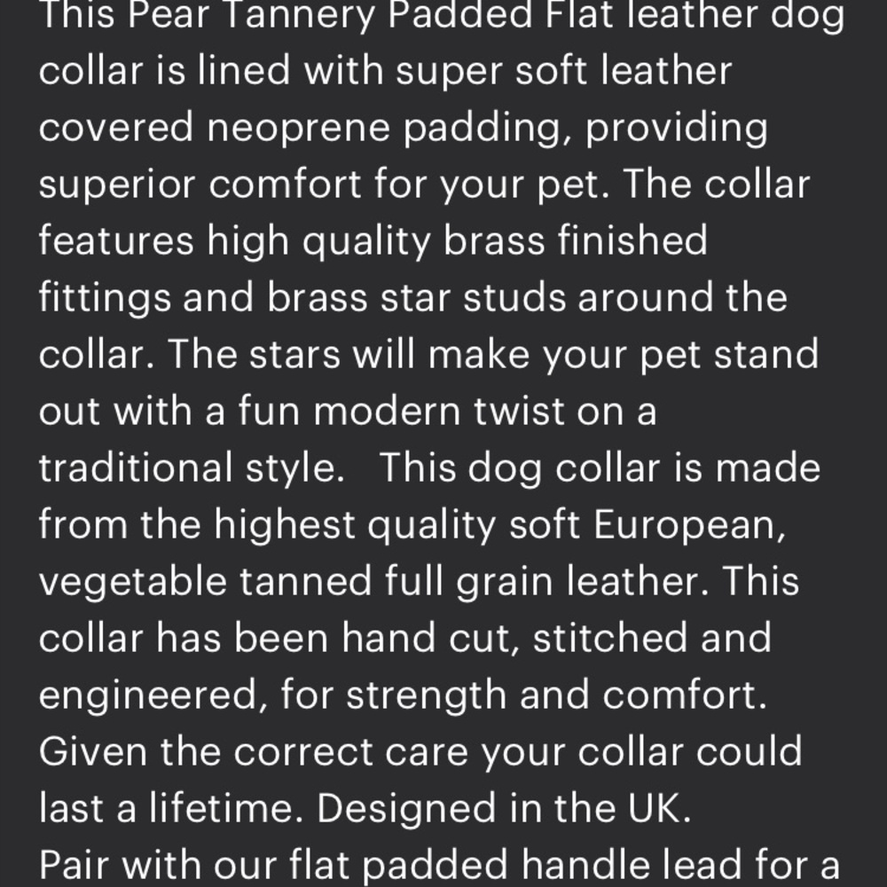 Artisan Made Padded Leather Dog Collar w Star Studs - Picture 10 of 11